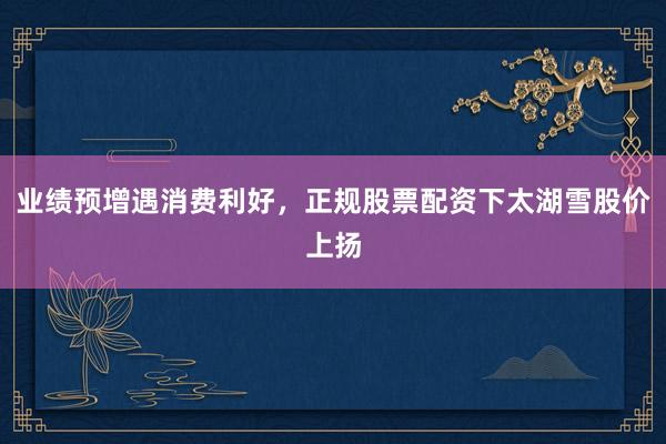 业绩预增遇消费利好，正规股票配资下太湖雪股价上扬