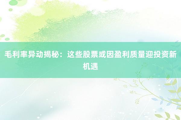 毛利率异动揭秘:这些股票或因盈利质量迎投资新机遇