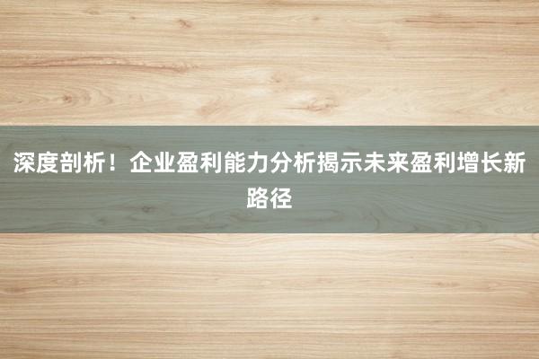 深度剖析！企业盈利能力分析揭示未来盈利增长新路径
