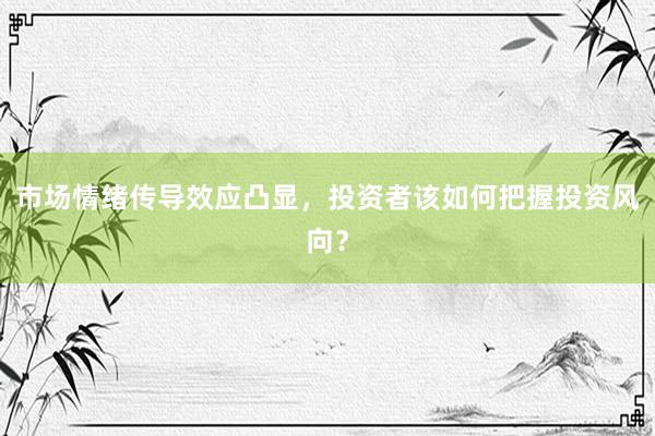 市场情绪传导效应凸显,投资者该如何把握投资风向?