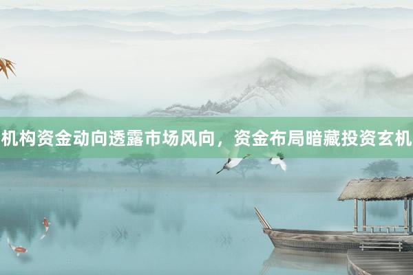 机构资金动向透露市场风向，资金布局暗藏投资玄机