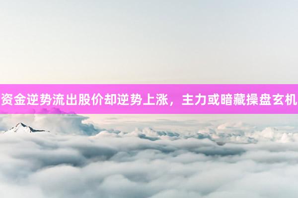 资金逆势流出股价却逆势上涨,主力或暗藏操盘玄机
