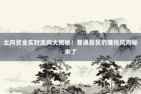 北向资金实时流向大揭秘！普通股民的赚钱风向标来了