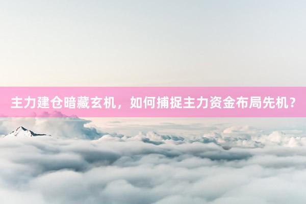 主力建仓暗藏玄机，如何捕捉主力资金布局先机？