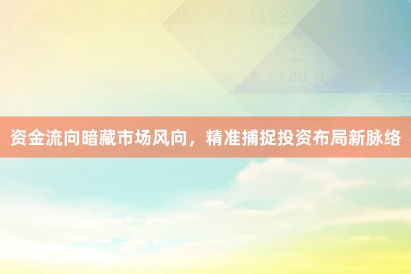 资金流向暗藏市场风向，精准捕捉投资布局新脉络