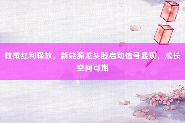 政策红利释放，新能源龙头股启动信号显现，成长空间可期
