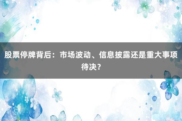 股票停牌背后：市场波动、信息披露还是重大事项待决？