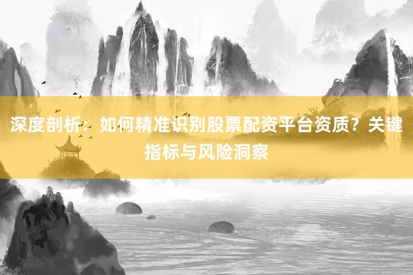 深度剖析：如何精准识别股票配资平台资质？关键指标与风险洞察